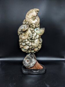 Ammonite Fossil Sculpture