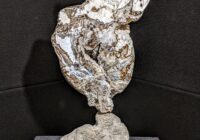 Agatized Coral Fine Art Sculpture