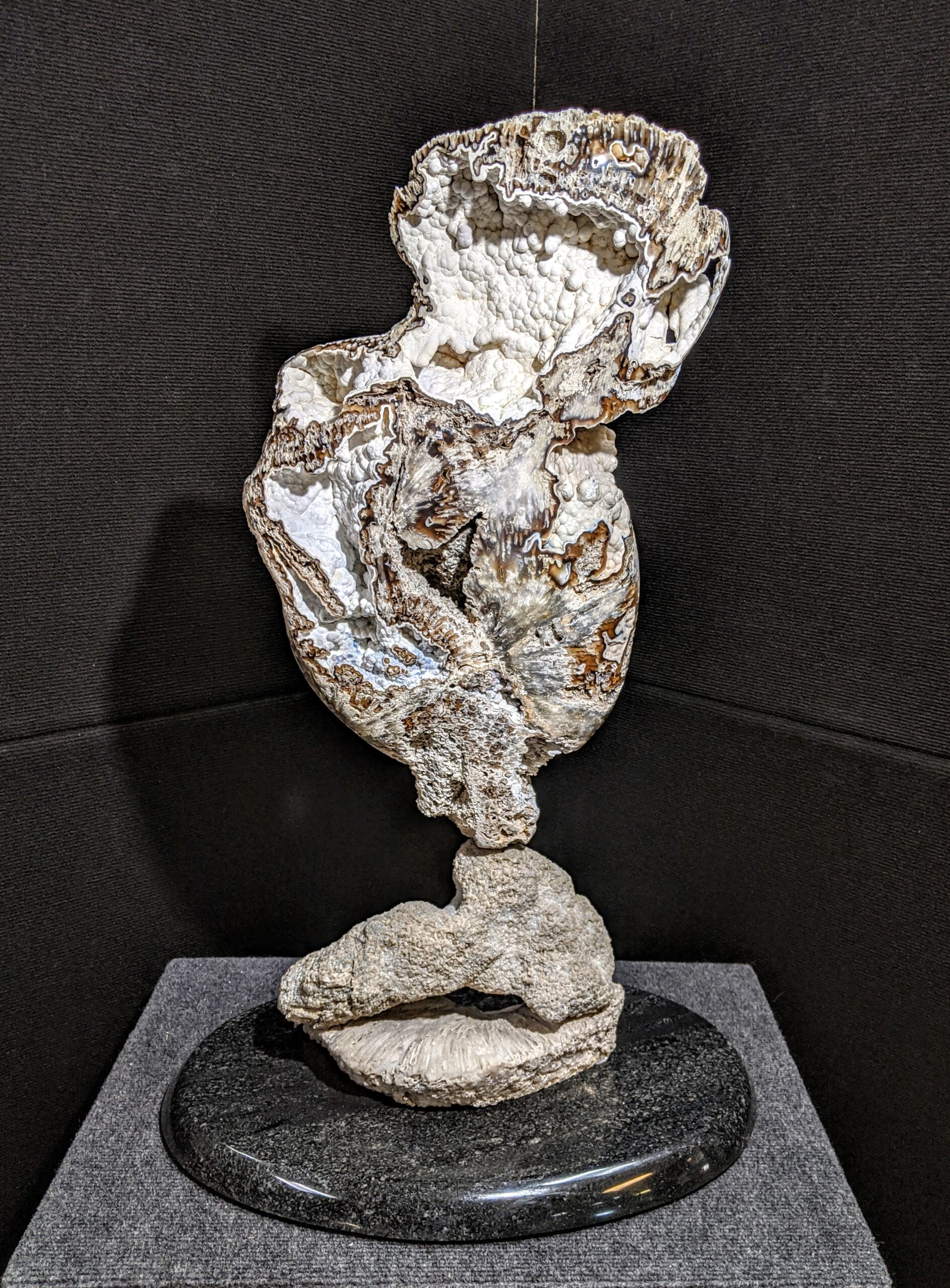 Agatized Coral Fine Art Sculpture