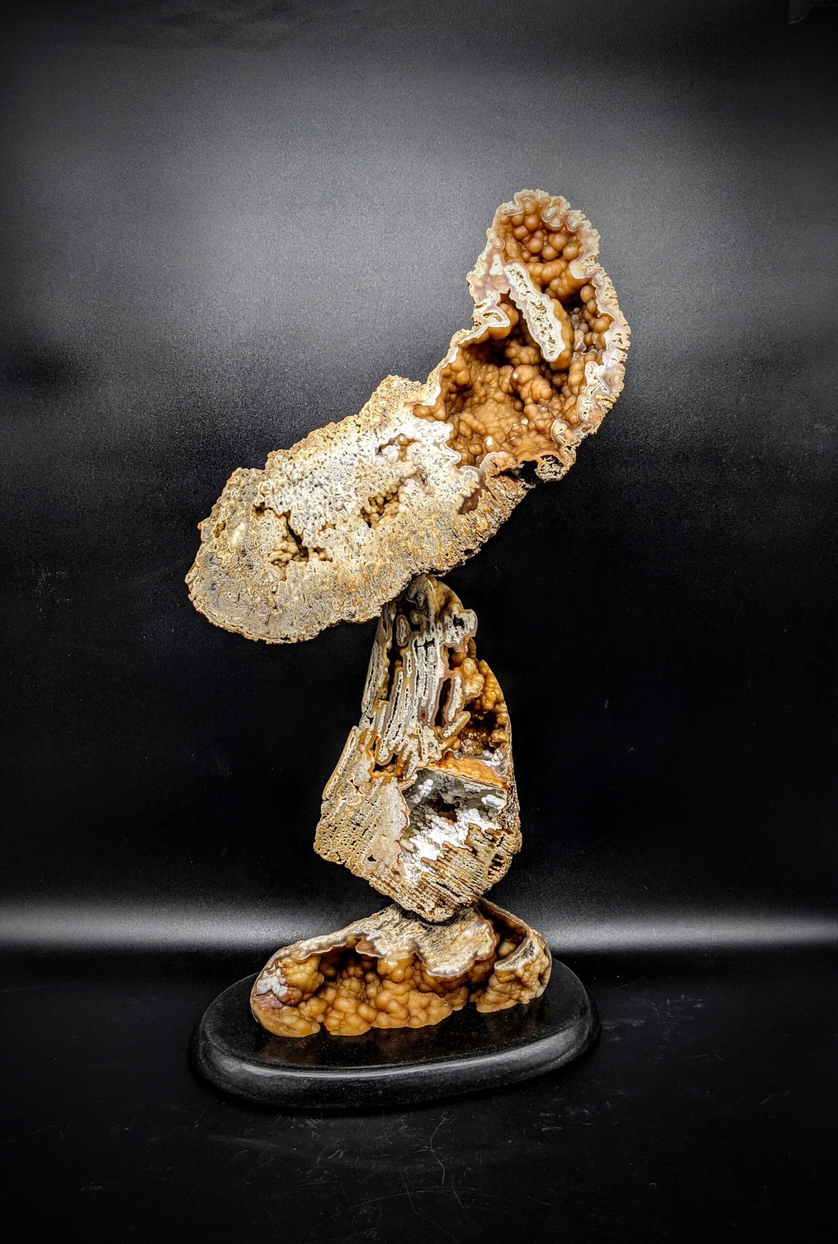 Agatized Coral Sculpture